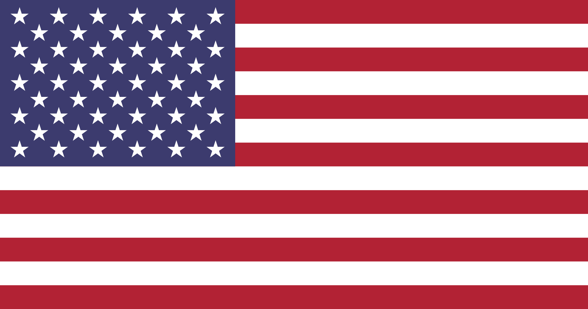 2020 Flagge United States